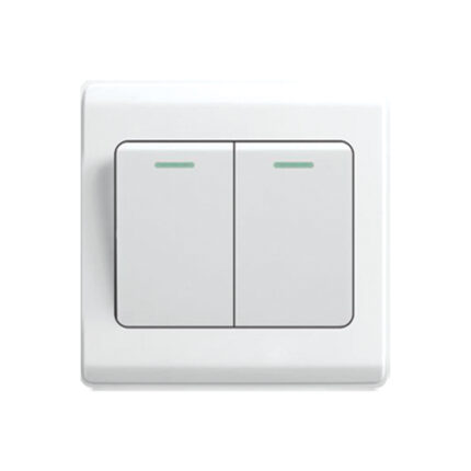 2 Gang 1 Way Switch 10A appollopowerltd 1